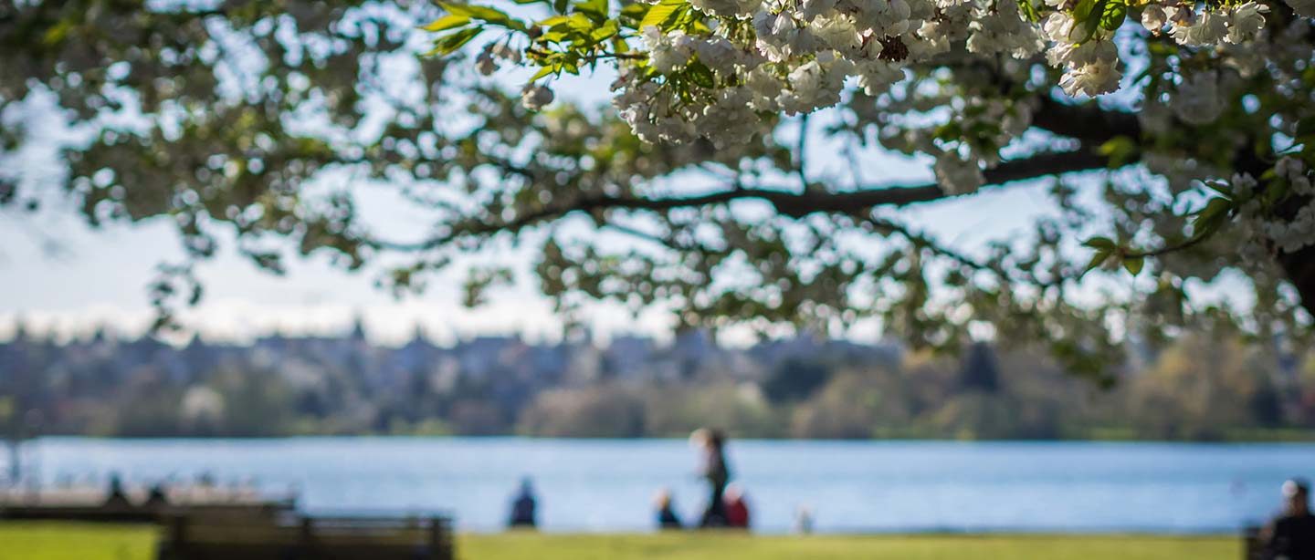 Greenlake park on a summer day