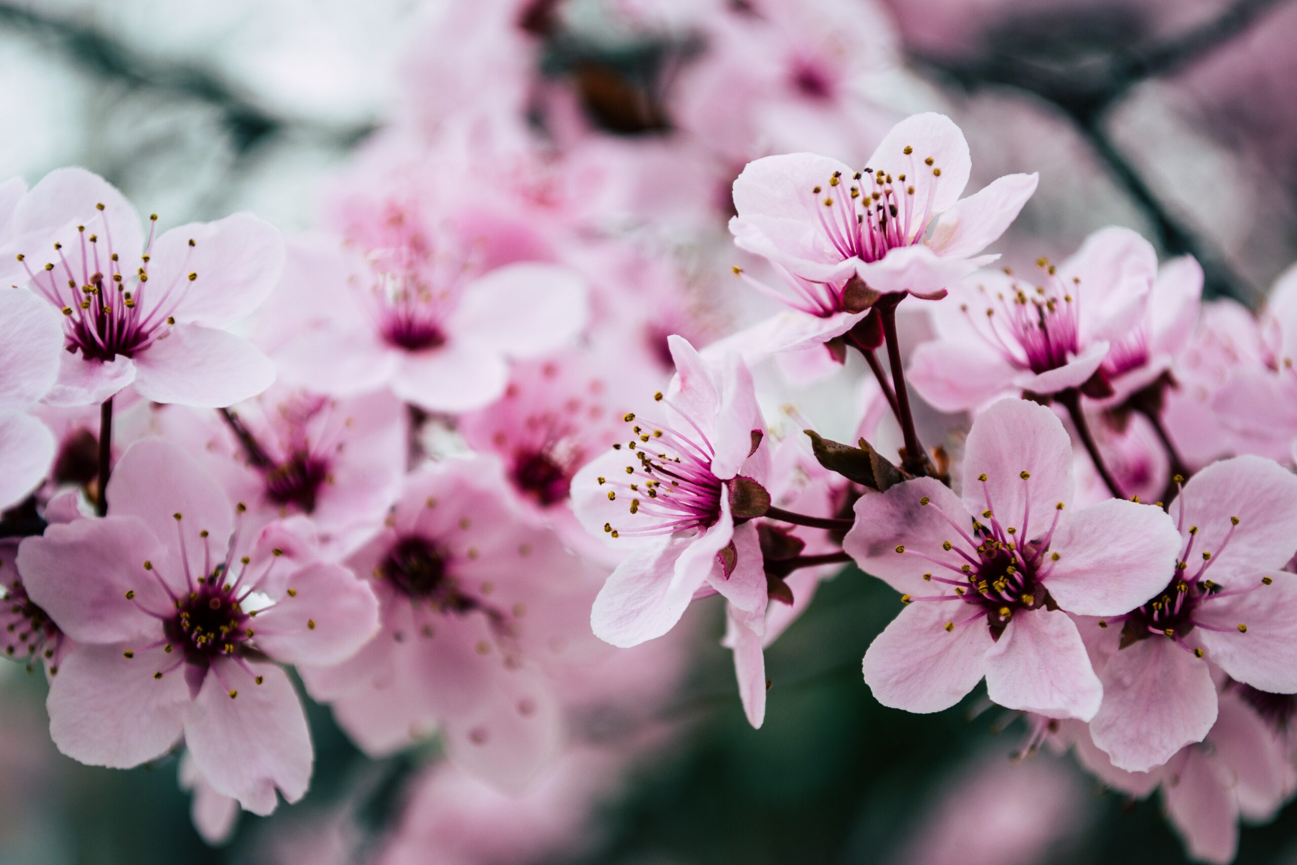 Seasons change Greenlake Primary Care